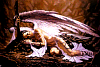 dorian_cleavenger093.jpg
