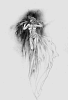 luis_royo248.jpg